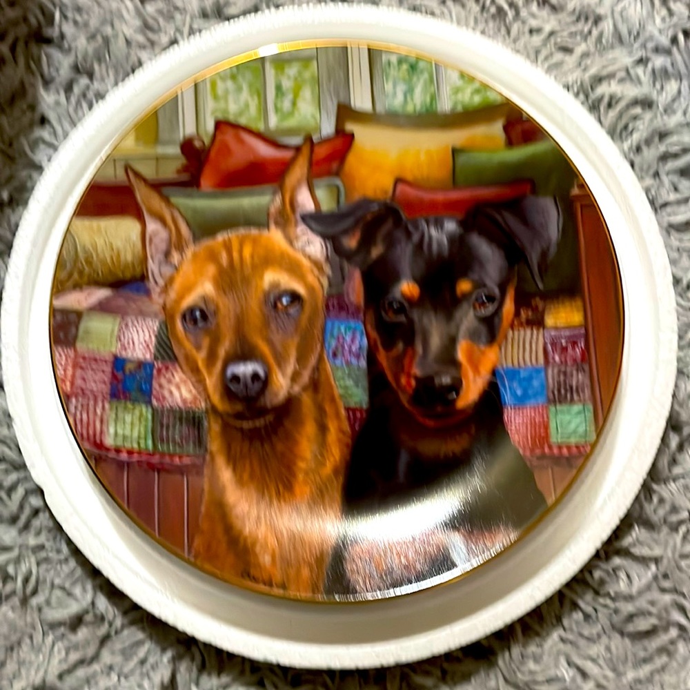 “Pin Pals” a Danbury Mint Collectible Plate
